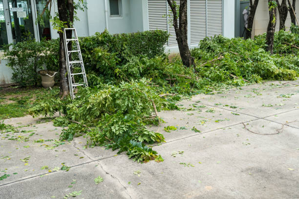Best Lawn Mowing  in Carson City, MI
